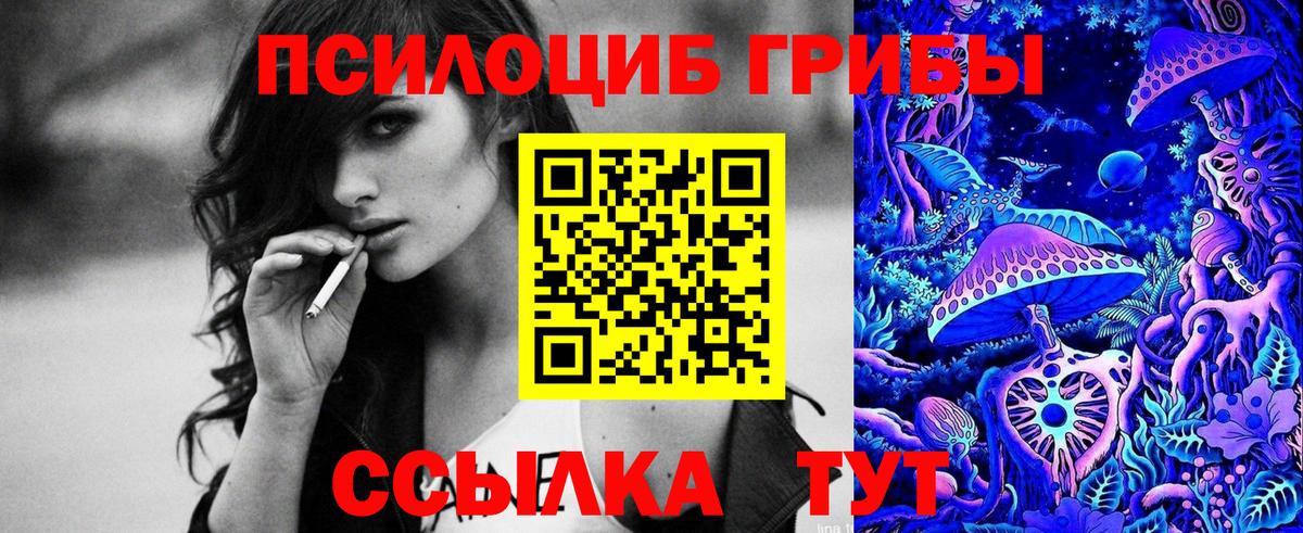 Галлюциногенные грибы Psilocybe Амурск